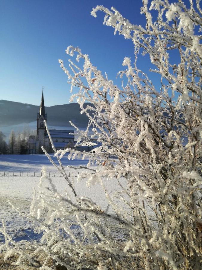 Appartementhaus Novak Mariapfarr Dış mekan fotoğraf